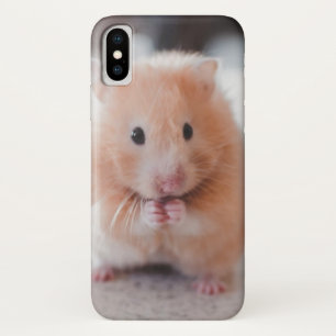 Cute Hamster Love Animals iPhone X Case