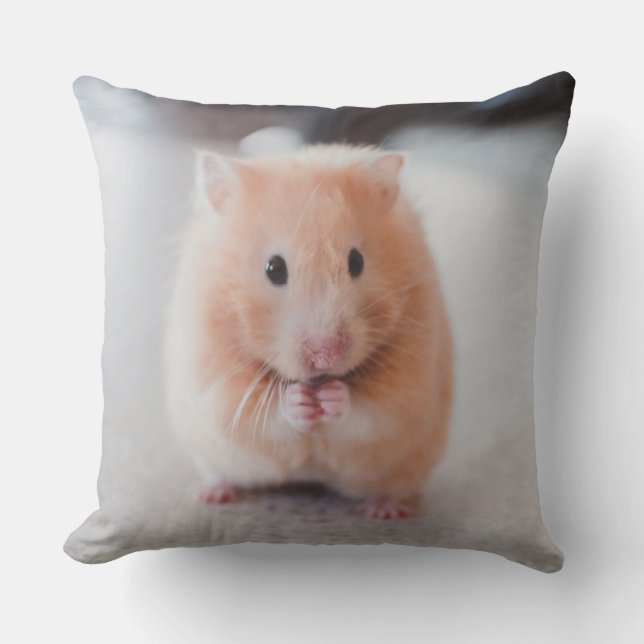 Cute Hamster Love Animals Cushion (Front)
