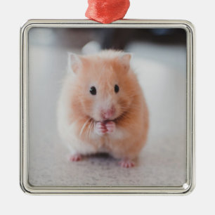 Cute Hamster Love Animals Metal Tree Decoration