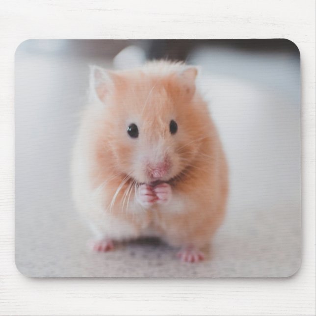 Cute Hamster Love Animals Mouse Mat (Front)