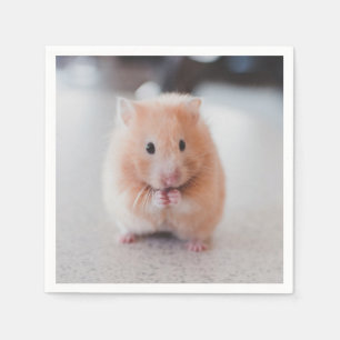 Cute Hamster Love Animals Napkin