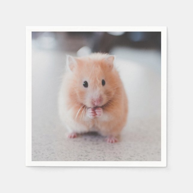 Cute Hamster Love Animals Napkin (Front)