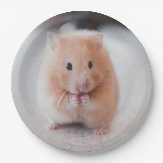 Cute Hamster Love Animals Paper Plate (Front)