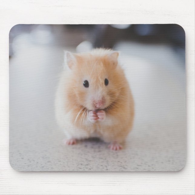 Cute hamster mouse mat (Front)