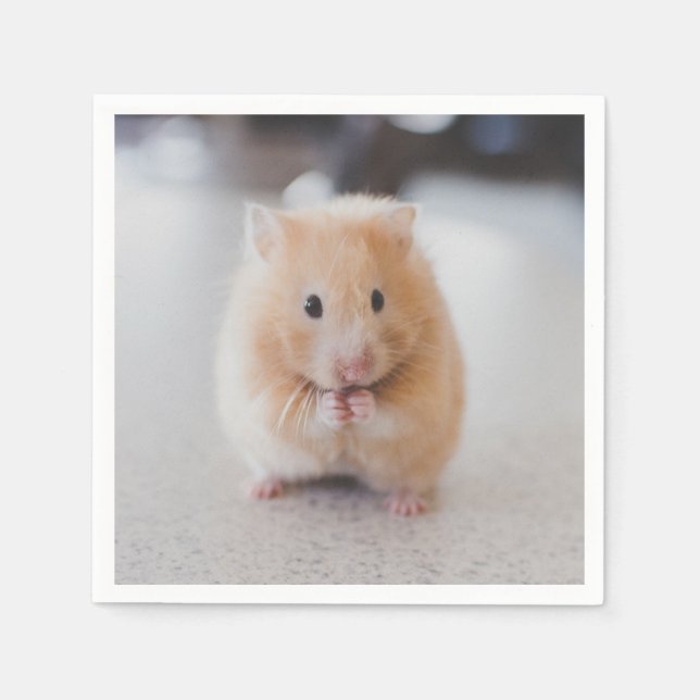 Cute hamster napkin (Front)