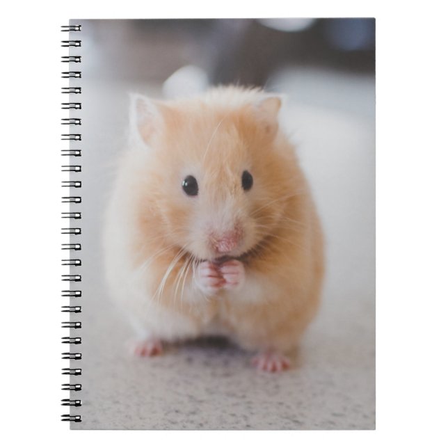 Cute hamster notebook (Front)