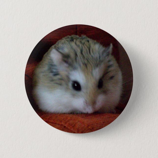 Cute Hamster On A Button - Hammy (Front)
