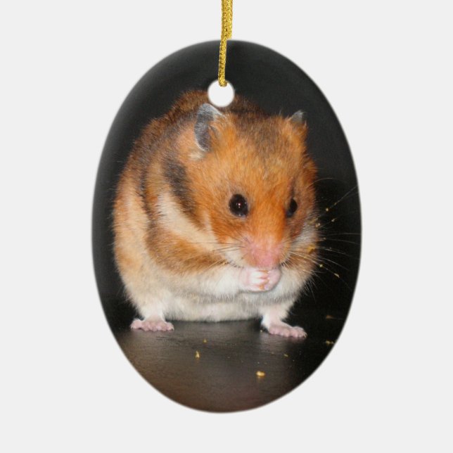 Cute Hamster ornament (Front)