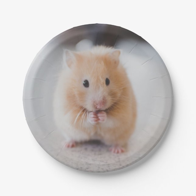 Cute hamster paper plate (Front)