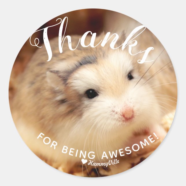 Cute Hamster Thanks for Being Awesome Classic Round Sticker (Front)