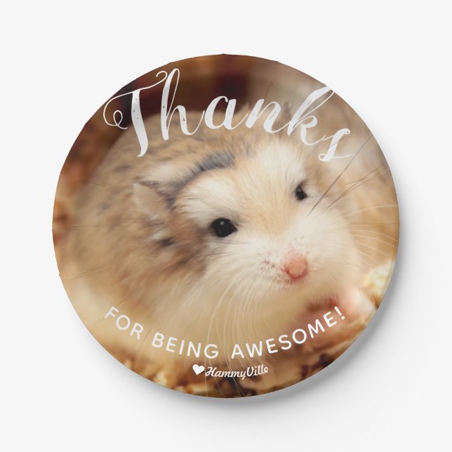 Cute Hamster Thanks for Being Awesome Paper Plate (Front)