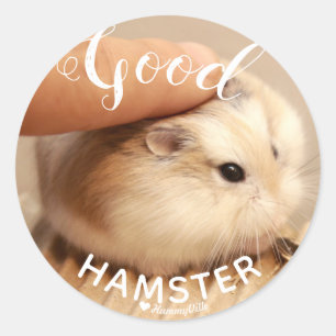 Cute Hamter being a Good Hamster Classic Round Sticker