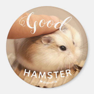 Cute Hamter being a Good Hamster Magnet