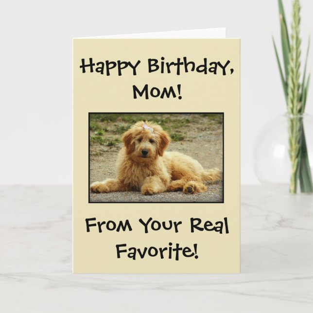 Cute Happy Birthday Card From The Dog Photo  (Front)
