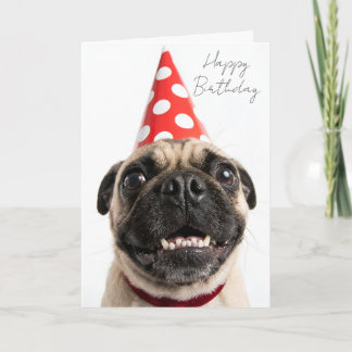 Cute Happy Birthday Pug in Red Party Hat Card