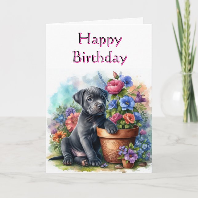 Cute Happy Birthday Puppy in Garden Greeting Card (Front)