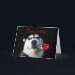 Cute Happy Birthday to my Brother in Law Card<br><div class="desc">This is a darling way to say Happy Birthday to your Brother in Law and let him know that he is your favourite!  A cute Husky Dog with a rose makes this an irresistible card!</div>