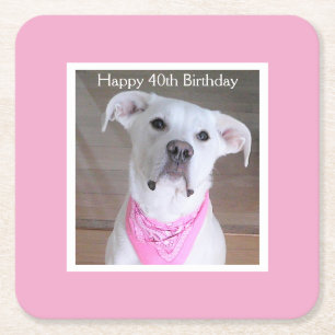 Cute Happy Dog With Soulful Eyes Birthday Pink Square Paper Coaster