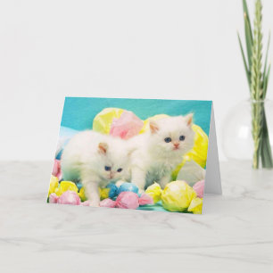 Cute Happy Easter Holiday Card