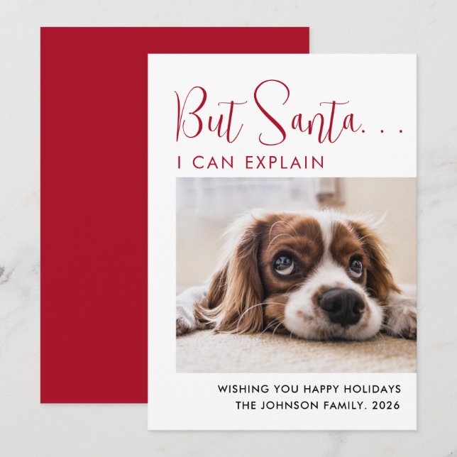 Cute Happy Holidays Pet Photo Holiday Card (Front/Back)