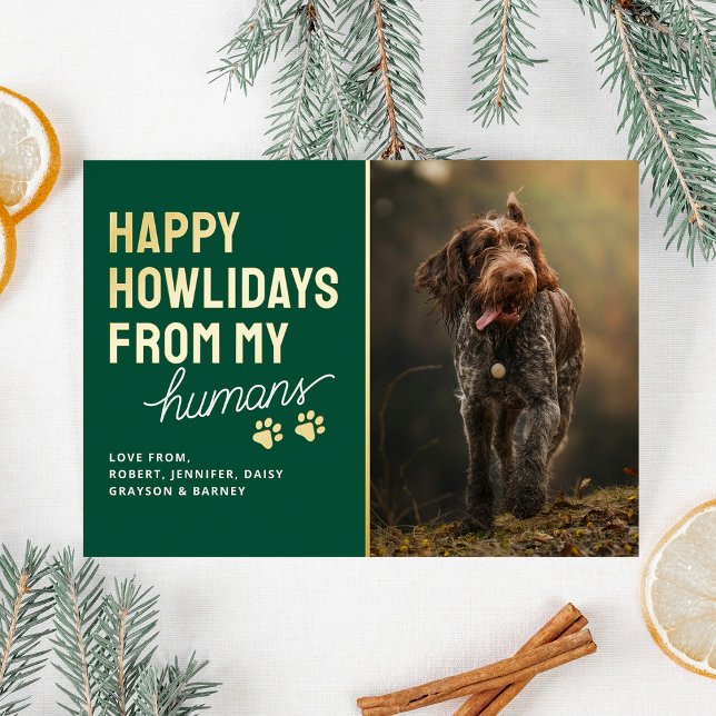 Cute Happy Howlidays Pet Christmas Card (Creator Uploaded)