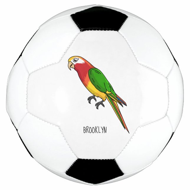 Cute happy parrot cartoon illustration football (Front)