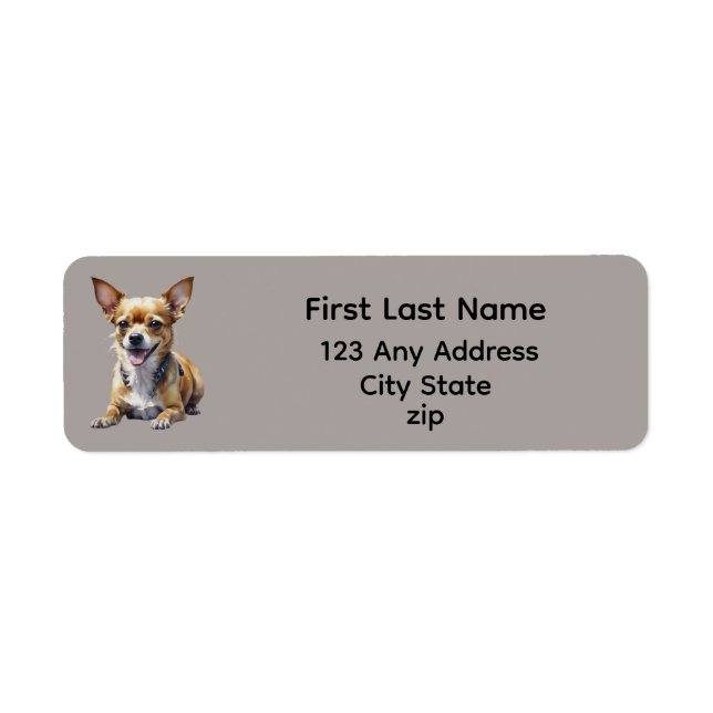 Cute Happy Pet Chihuahua Dog (Front)