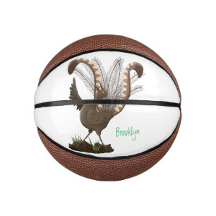 Cute happy superb lyrebird cartoon illustration  mini basketball