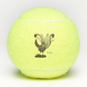 Cute happy superb lyrebird cartoon illustration tennis balls