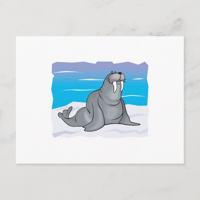 cute happy walrus postcard (Front)