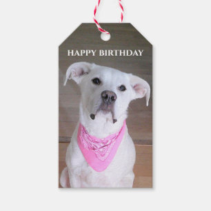 Cute Happy White Dog With Soulful Eyes Forty Pink Gift Tags