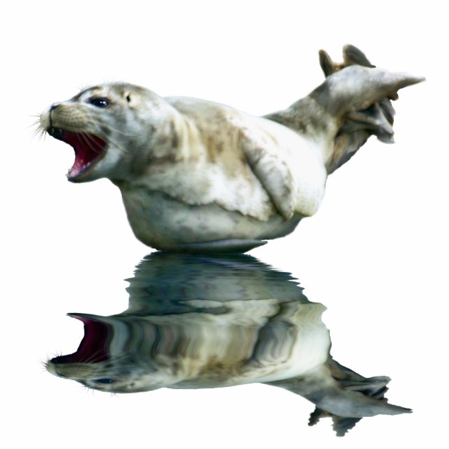 CUTE HARBOR SEAL (sculpted) Wildlife Art Gift Item Photo Sculpture Magnet (Front)