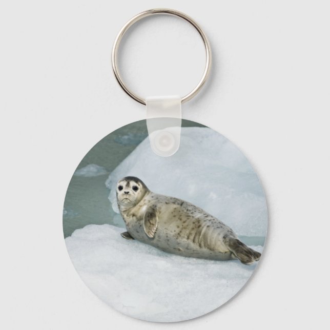 Cute Harbour Seal on Snow Key Ring (Front)