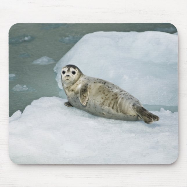 Cute Harbour Seal on Snow Mouse Mat (Front)
