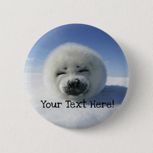 Cute Harp Seal 6 Cm Round Badge