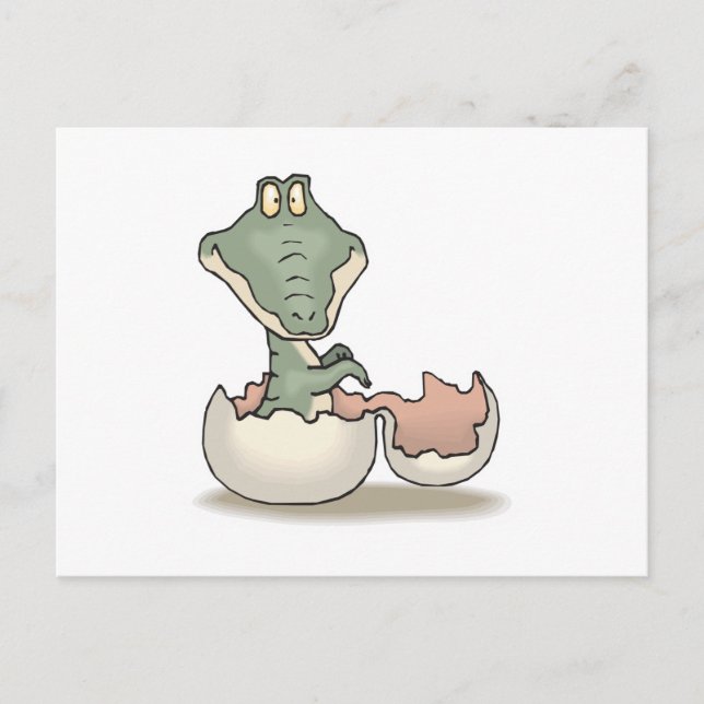 cute hatching baby alligator postcard (Front)