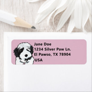 Cute Havanese