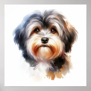 Cute Havanese Dog Portrait in Watercolor Poster