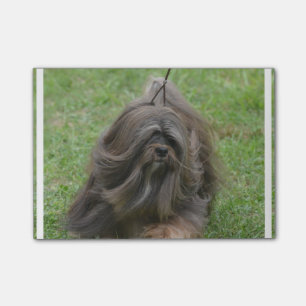 Cute Havanese Post-it Notes