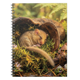 Cute Hazel Dormouse Sleeping Inside a Leather Boot Notebook