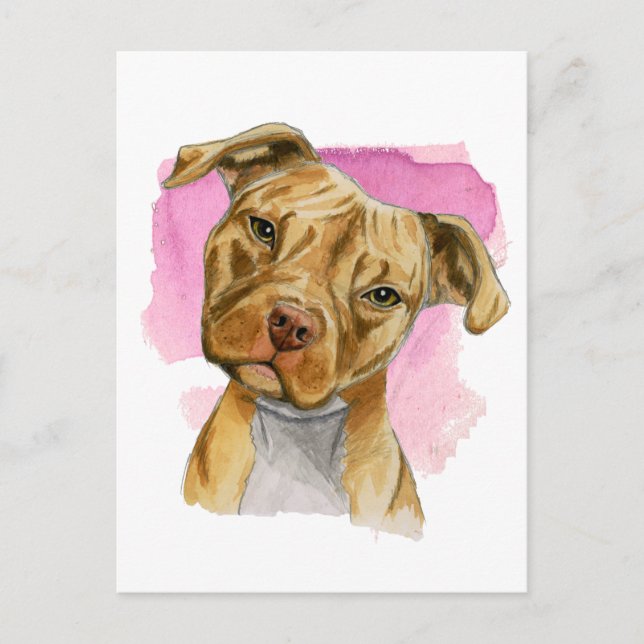 Cute Head Tilt Pit Bull Dog Watercolor Painting Postcard (Front)