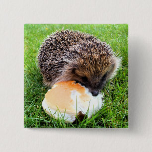 CUTE HEDGEHOG 15 CM SQUARE BADGE