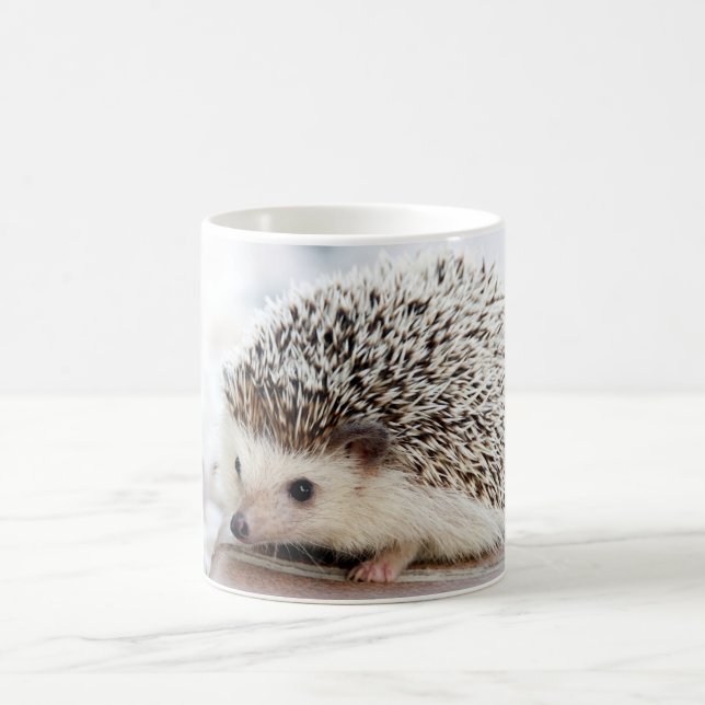 Cute Hedgehog Baby Coffee Mug (Center)