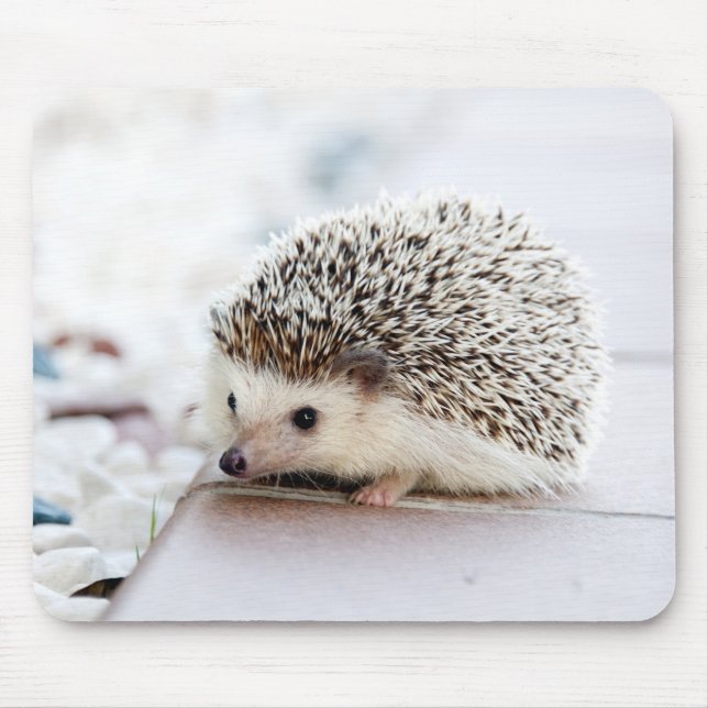 Cute Hedgehog Baby Mouse Mat (Front)
