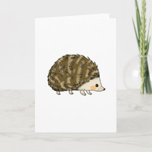 Cute hedgehog card