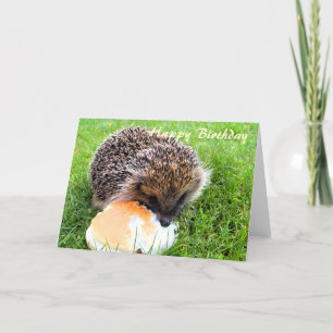CUTE HEDGEHOG CARD