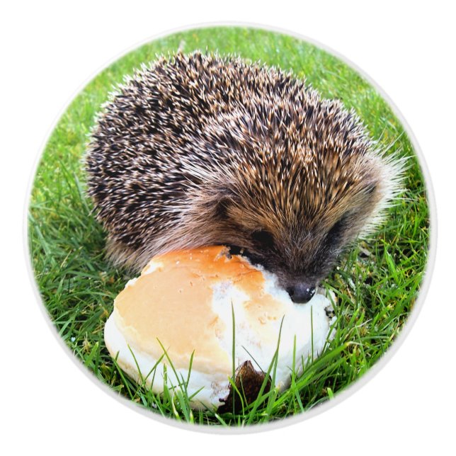 CUTE HEDGEHOG CERAMIC KNOB (Front)