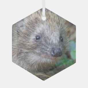 Cute Hedgehog Christmas Glass Ornament