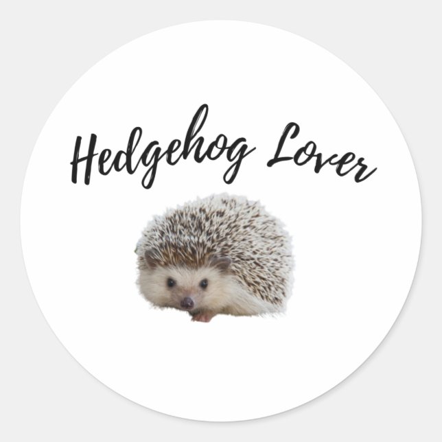 Cute Hedgehog  Classic Round Sticker (Front)