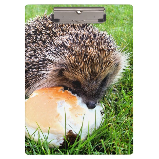 CUTE HEDGEHOG CLIPBOARD (Front)